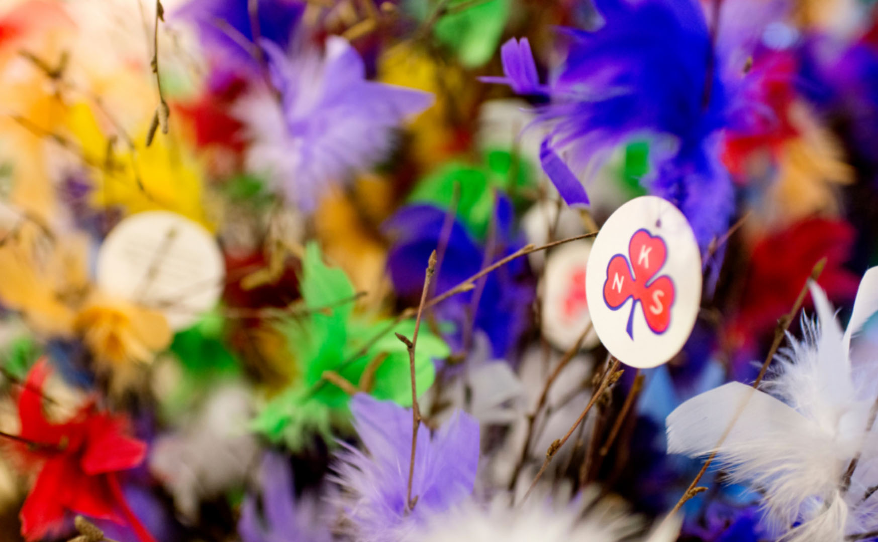 Bilde av en bunt kvister med fjær og NKS logoen